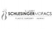 Dr. S. Larry Schlesinger